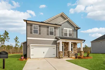 Old Charleston Acres by Great Southern Homes in Pelion - image