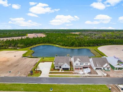 Salt Grass at Ward Creek by Fischer Homes in Panama City Beach - image