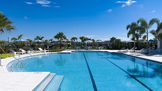 Coasterra by M/I Homes in Palmetto - image 18