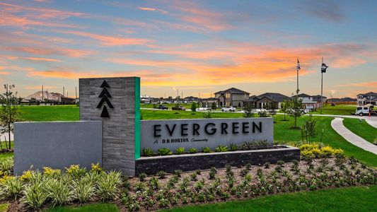 Evergreen by D.R. Horton in Rosenberg - photo 57 57