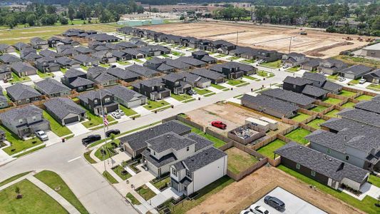 The Villas at Legacy Park by D.R. Horton in Houston - image