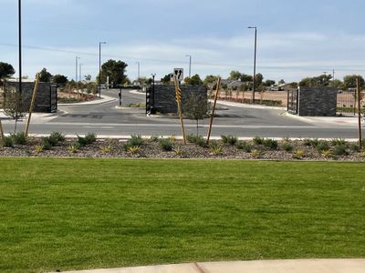 Solstice at Terraza by Tri Pointe Homes in San Tan Valley - photo 1 1