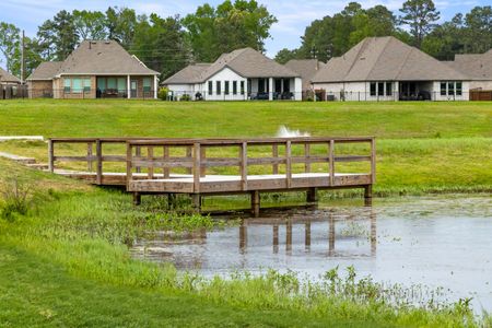 Escondido 50' by Coventry Homes in Magnolia - photo 11 11