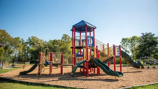 Toll Brothers at August Park by Toll Brothers in Spring Hill - image 11