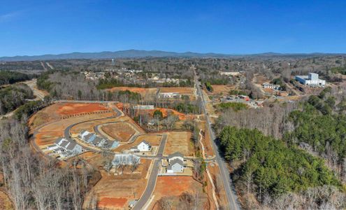 Marble Tree by Eastwood Homes in Ball Ground - photo 61 61