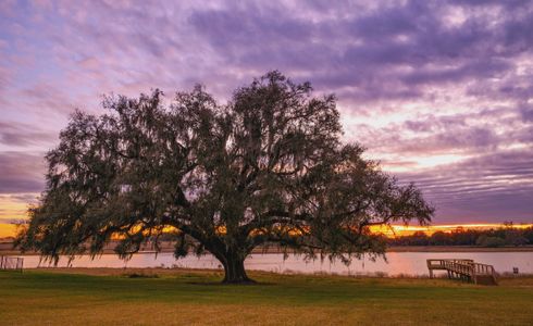 West Hill Estates by ICI Homes in Dade City - image 18