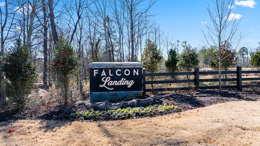 Falcon Landing by D.R. Horton in Gainesville - photo 27 27