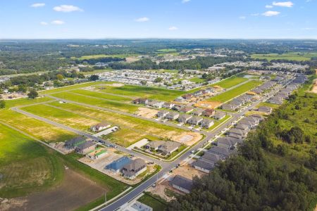 Hilltop Point by M/I Homes in Dade City - photo 5 5