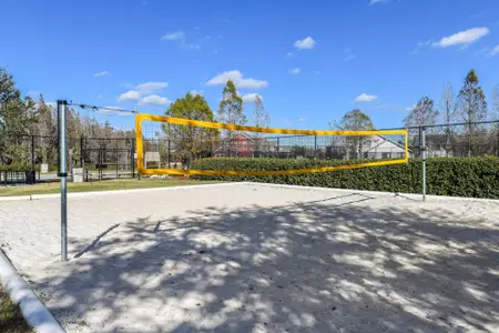Hawk Longleaf by Homes by WestBay in New Port Richey - image