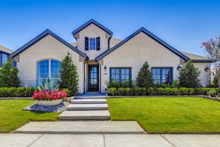 Mosaic 50s by American Legend Homes in Prosper - photo 1 1