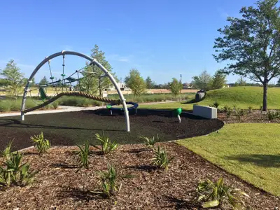 Laureate Park at Lake Nona - Park Series by David Weekley Homes in Orlando - image 6