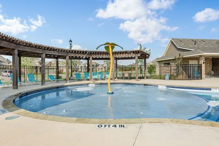 The Oasis at North Grove 75-80 by Bloomfield Homes in Waxahachie - photo 5 5