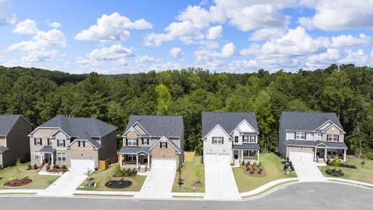 Water Oak Estates by D.R. Horton in Lawrenceville - photo 0 0