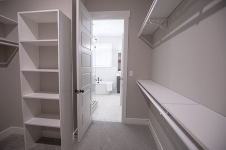 Myers Park by Grant & Co in Arlington - image 11