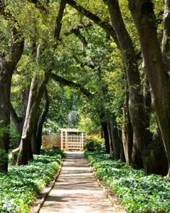 Hitchcock Preserve 60' by Veranda Homes in Aiken - image 7