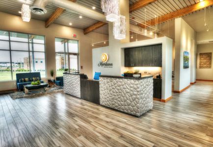 Meridiana by Highland Homes in Arcola - image 15