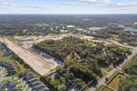 Meadow Oaks by M/I Homes in Hudson - photo 12 12