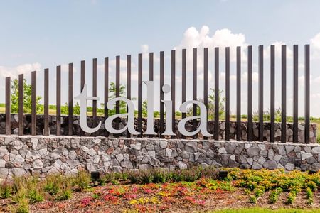 Talia by Cadence Homes in Mesquite - image 13