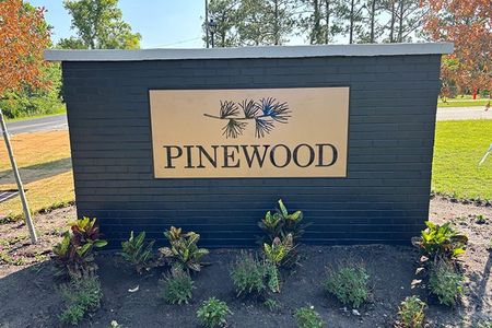 Pinewood by Stanley Martin Homes in Leland - image