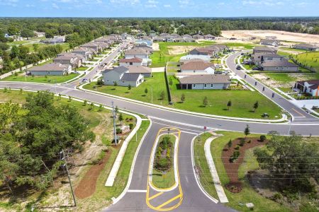 Avalon West by M/I Homes in Spring Hill - photo 3 3