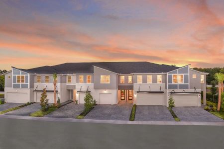 Chapel Crossings - Master planned community in Wesley Chapel, FL 29 29