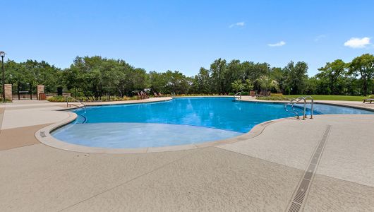 Lively Ranch Emerald by D.R. Horton in Georgetown - photo 74 74