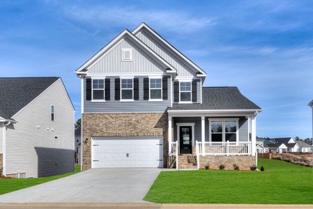 Chapin Place by Stanley Martin Homes in Chapin - image