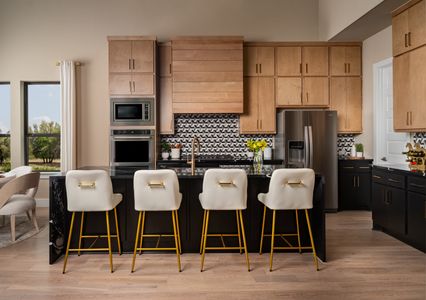 Bluffview Reserve by GFO Home in Leander - image 3