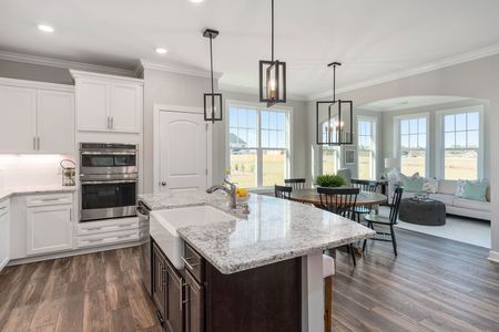 Lochton by Mungo Homes in Summerville - photo 61 61