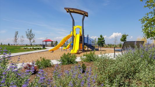 Settlers Crossing by D.R. Horton in Commerce City - photo 6 6