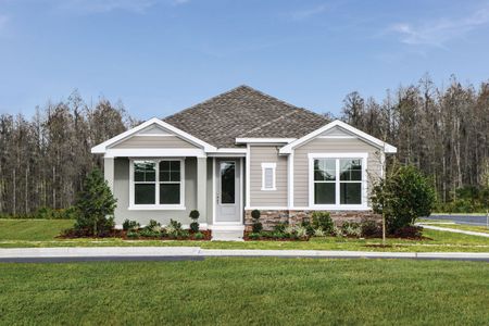 Persimmon Park - Cottage Series by David Weekley Homes in Wesley Chapel - photo 11 11