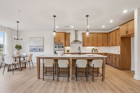 Lancaster Hwy by Caruso Homes in Waxhaw - image 16