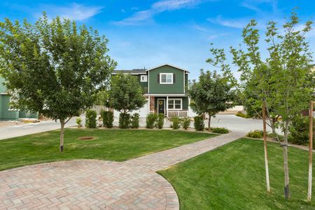 Encanto at Bell Park by Encanto Living in Phoenix - image 10