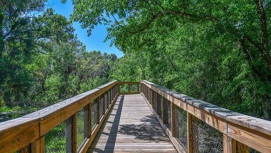 Cassia at Skye Ranch 85