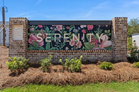 Serenity by Artisan Built Communities in Hapeville - photo 2 2