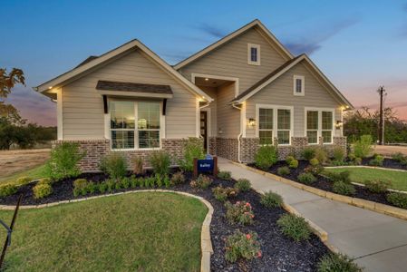 Covenant Park by Riverside Homebuilders in Springtown - photo 40 40