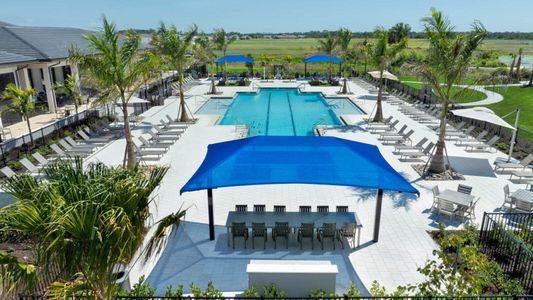 Vistera of Venice by Neal Communities in Nokomis - image 13