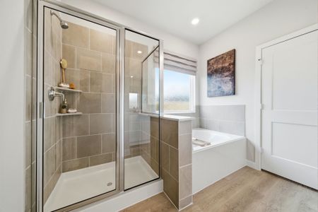 Liberty Collection at Maple Woods 24