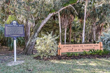 Central Living - Boca Ciega by David Weekley Homes in St. Petersburg - photo 23 23