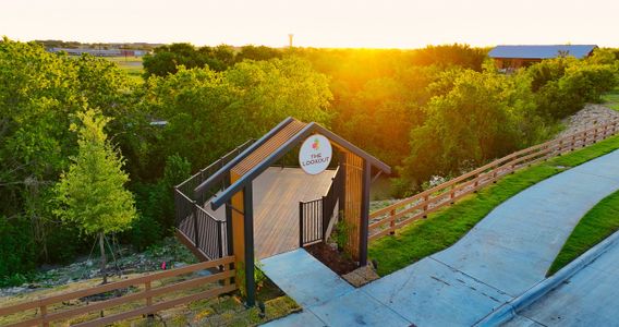 Treeline by Beazer Homes in Justin - image 5
