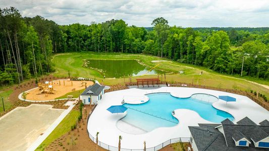 Carolina Groves Townhomes by D.R. Horton in Moncks Corner - photo 9 9