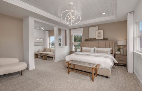 Vida's Way by Pulte Homes in Zephyrhills - photo 22 22