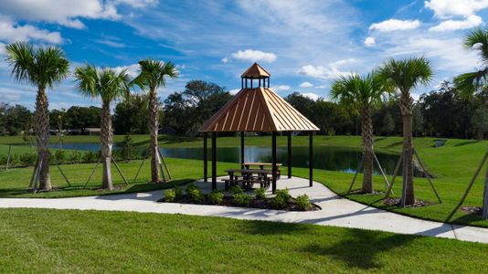 Harmony at Lake Eloise by Casa Fresca Homes in Winter Haven - photo 4 4