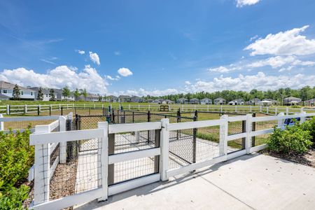 Wilford Oaks by Dream Finders Homes in Orange Park - photo 9 9