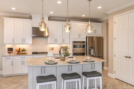 Eave's Bend at Artisan Lakes by Taylor Morrison in Palmetto - photo 50 50