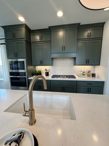 Easton Park 40' by Perry Homes in Austin - photo 71 71