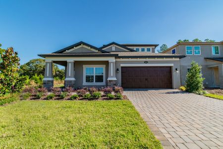 Chapel Crossings by M/I Homes in Wesley Chapel - photo 50 50