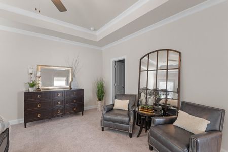 Palisades Single Family by The Providence Group in Cumming - image 9