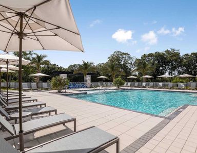 Volanti by Mattamy Homes in Lutz - image 14