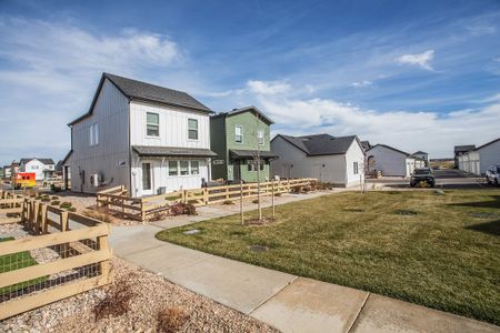 Bloom Cottages 26